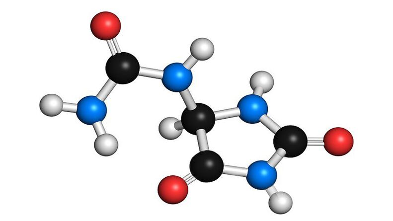 Allantoin u Hondrolife